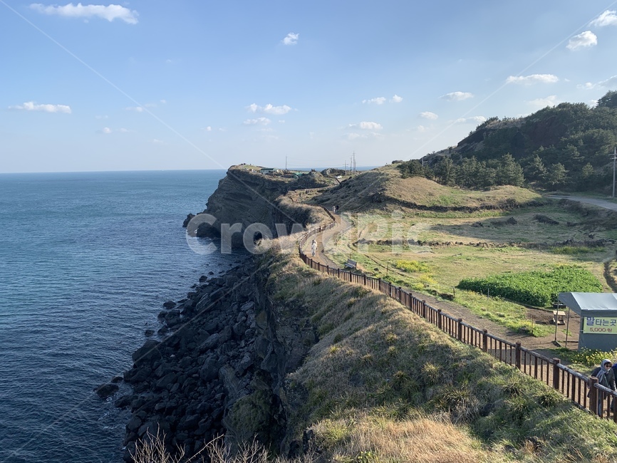 송악산,제주도,둘레길,바다,제주,길