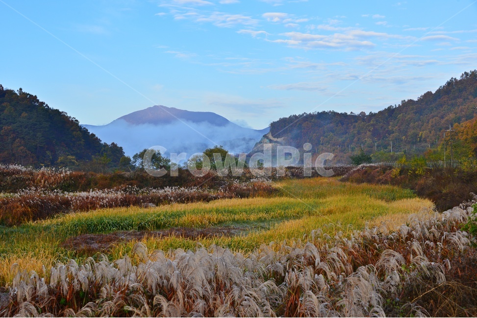 산,mountain,mountainrange,산맥,plant,식물,nature,자연,weather,날씨,outdoors,옥외,화순,동복,동복저수지,저수지상류,억새,가을,계절,추색,만추