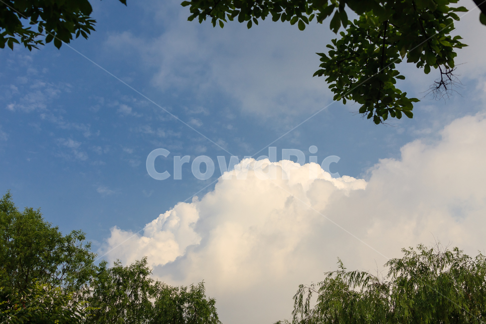 하늘,여름,구름,날씨,숲,공원,나무,자연,풍경,nature,landscape,outdoors,옥외,weather,cumulus,적운,cloud,sky