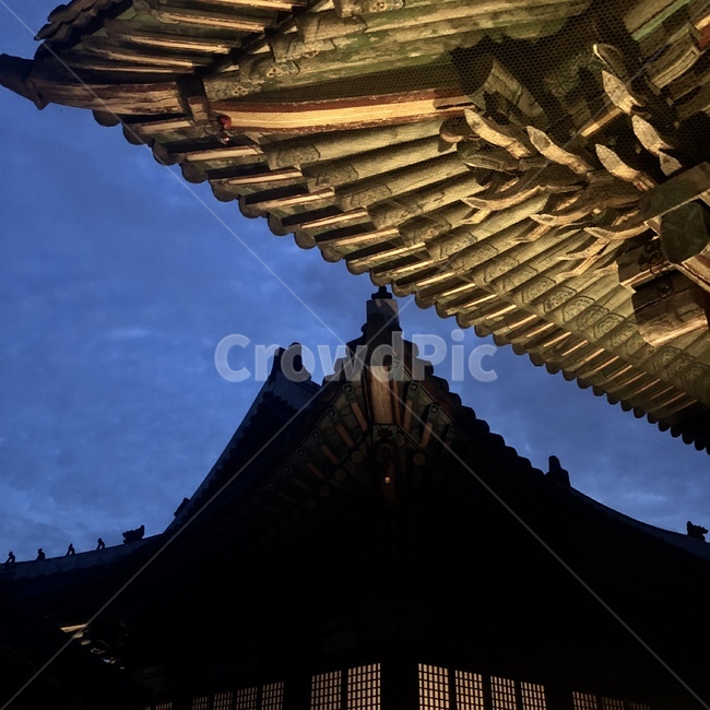 고궁,궁궐,한국,감성,야경,한국전통,한국문화,korean traditional,korean culture,건축물,건물외관,exterior,building,structure,architecture,construction