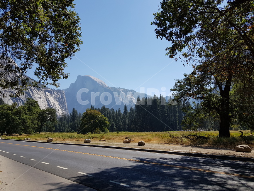 아스팔트,도로,freeway,숲,나무,고속도로,highway,road,asphalt,tree,돔