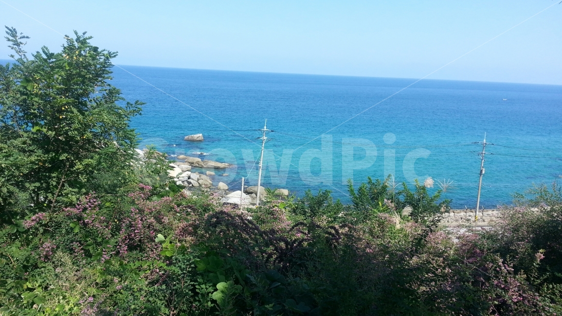 바다,동해,파란바다,여름바다,시원하다,자연,풍경,nature,landscape,한국자연풍경,한국자연경관,korea nature landscape,outdoors,옥외,land,땅,sea,water,물,ocean,대양,promontory,곶,shoreline,해안선