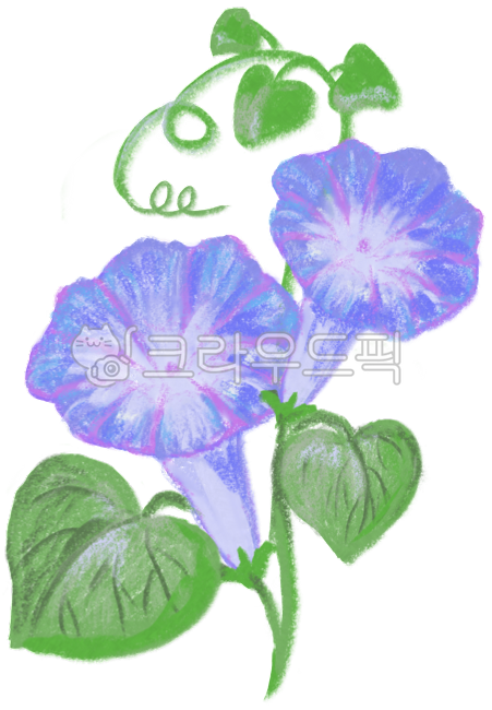나팔꽃,flower,꽃,나팔꽃일러스트,식물,식물일러스트