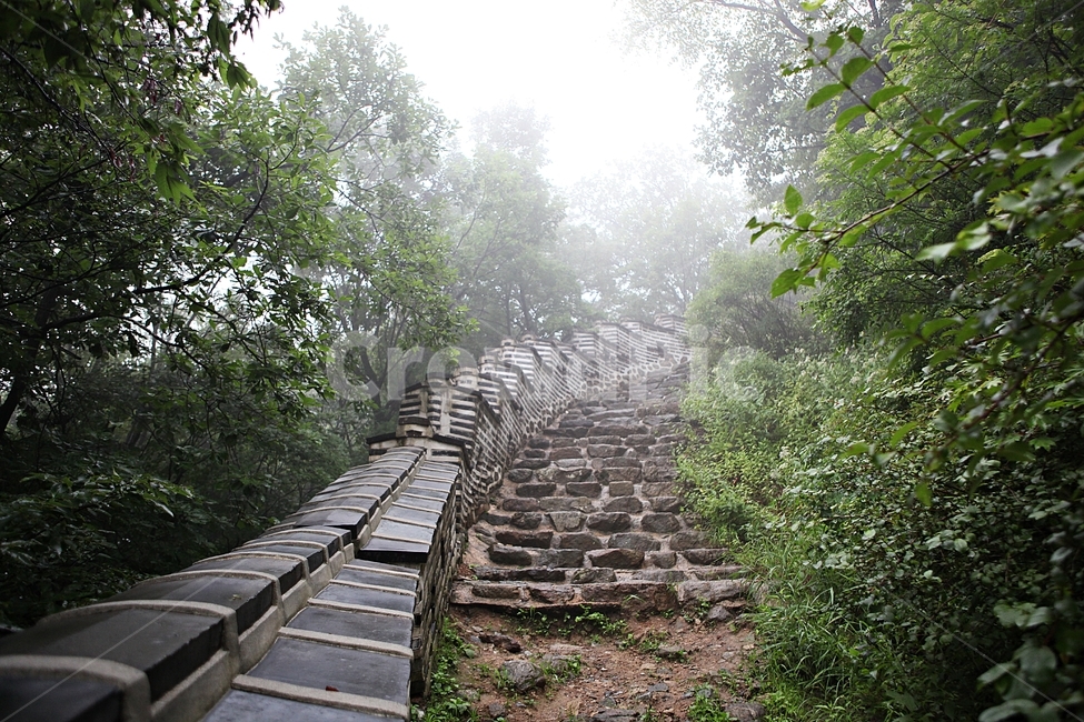 남한산성,성,성곽,둘레길,길,숲,숲길,안개,돌담,담