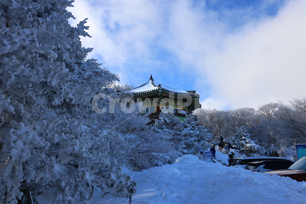 nature,눈,눈꽃,자연,겨울