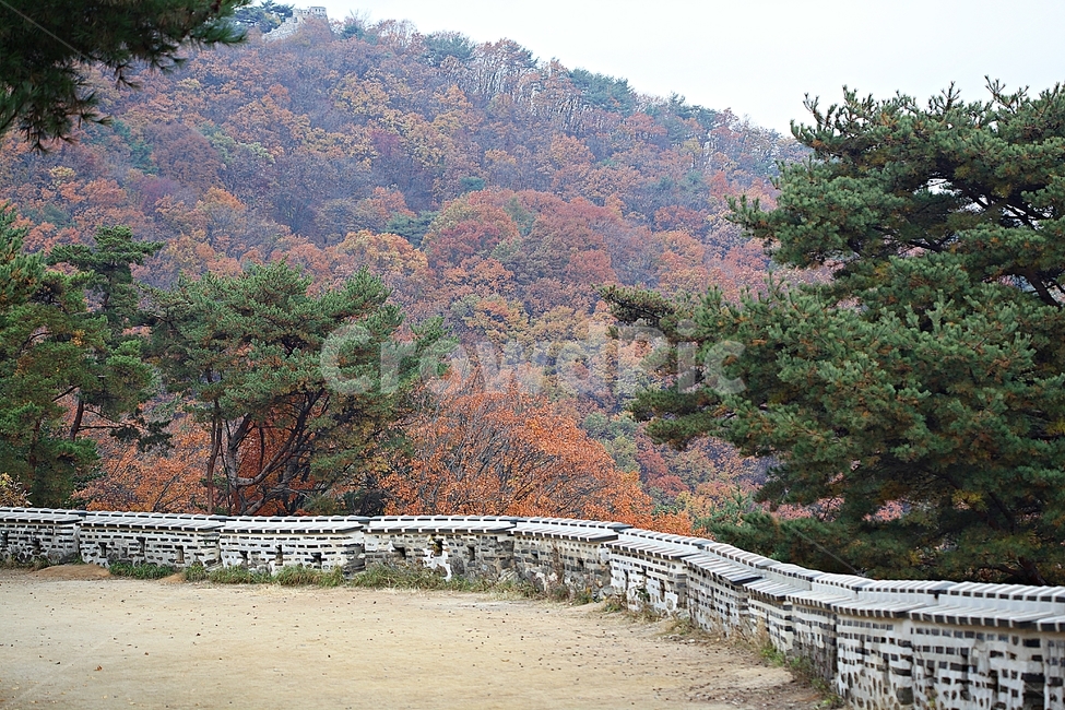 남한산성,성,성곽,단풍,낙엽,길,둘레길,숲,숲길,담,돌담,가을,자연,풍경,벽,울긋불긋,산성,식물,가을,계절,fall,autumn,season