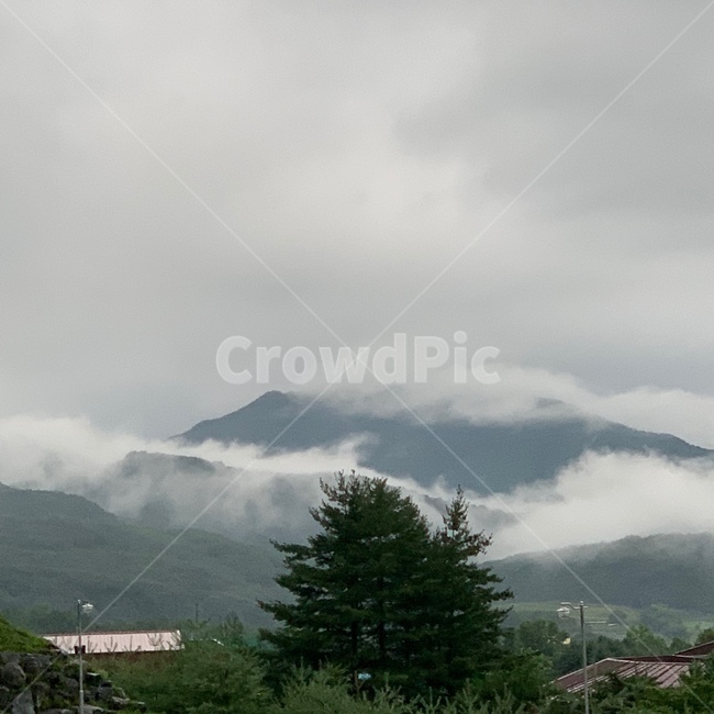 안개,산,나무,구름,풍경