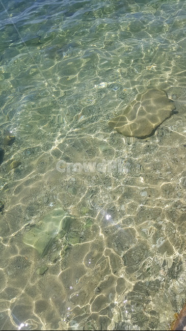 바다,반짝반짝,투명,햇빛,햇살,자연,배경,sea,shine,clear,sunlight,sunshine,nature,background
