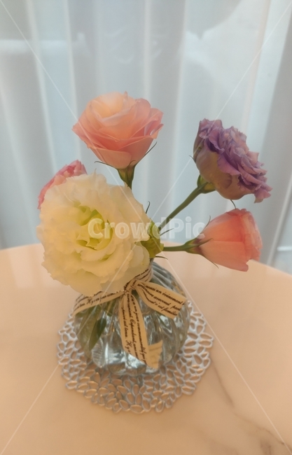 식물,flower,꽃,생화,화병,플라워,식물,자연,plants,nature,꽃,flower