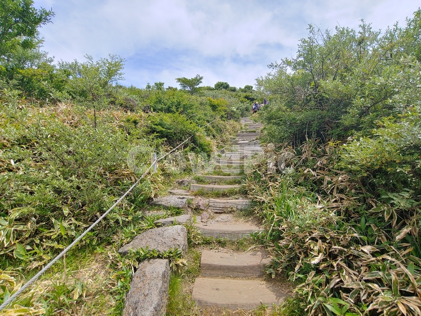 숲길,나무,잎,계단,하늘,mountain,sky,clouds,green,초록,등산,한라산,배경,바위,rock,stone,trailwalkway