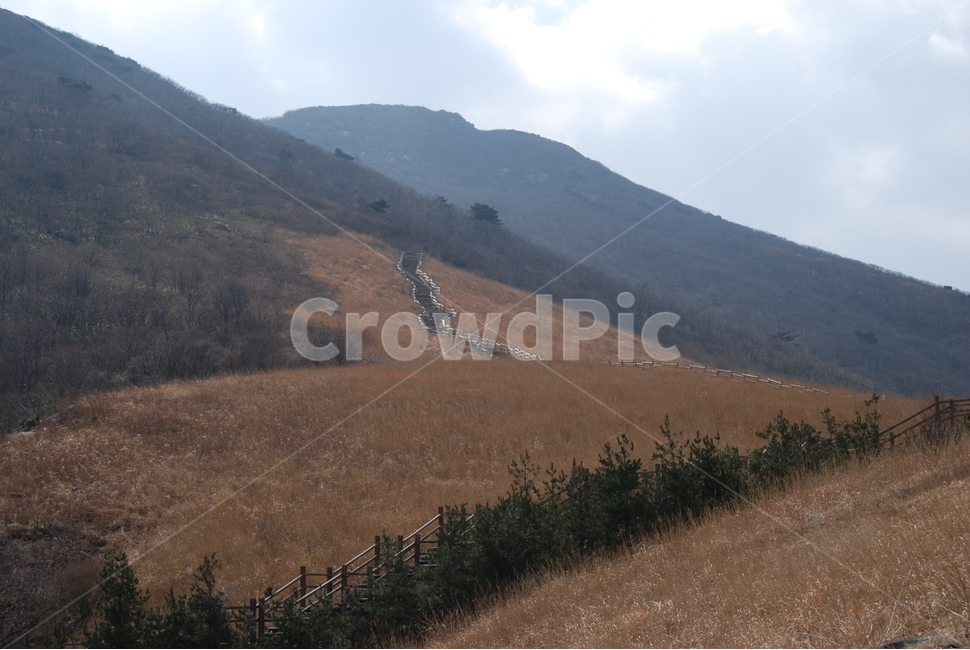 등산로,hikingtrail,autumn,가을,산,가을,계절,fall,autumn,season,자연,풍경,nature,landscape,한국자연풍경,한국자연경관,korea nature landscape,outdoors,옥외,hill,언덕