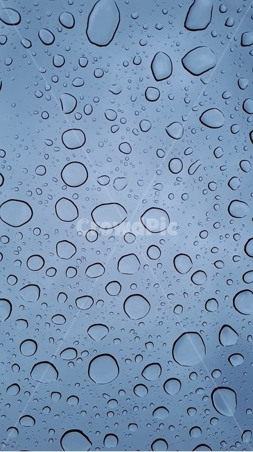 비,빗방울,물방울,rainy,rain,비오는날