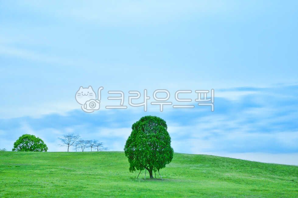 올림픽공원,나홀로나무,나무,공원,장노출,서울,든든한,크다,쓸쓸한,자연,풍경,nature,landscape