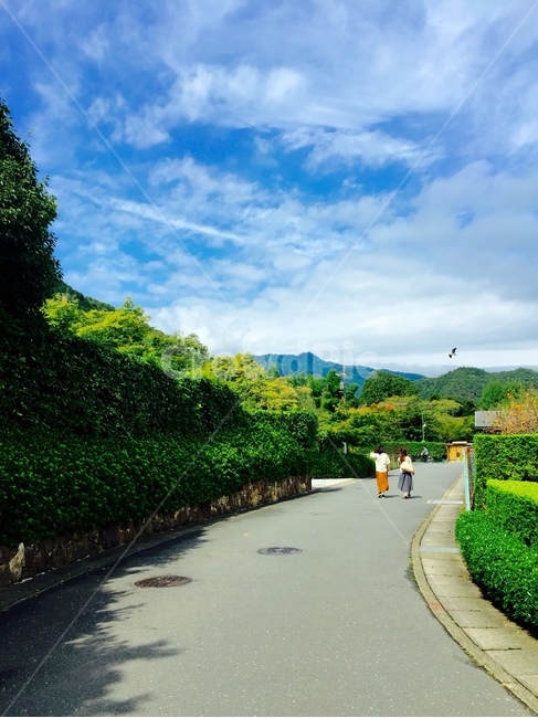 교토,자연,일본,시골,초록,푸른,여자둘,마을,산책,japan,walk,green,kyoto
