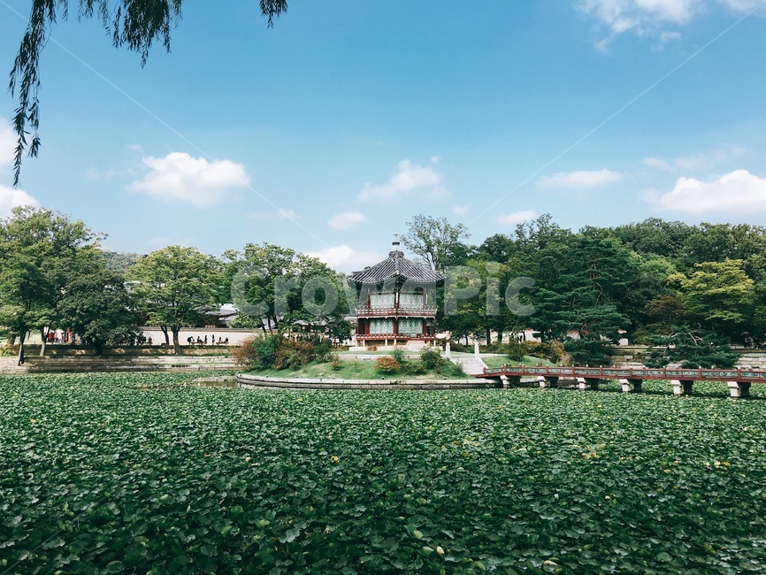 풍경,경복궁,연못,여름,광화문