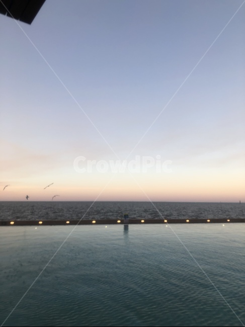 cairns,australia,물,바다,ocean