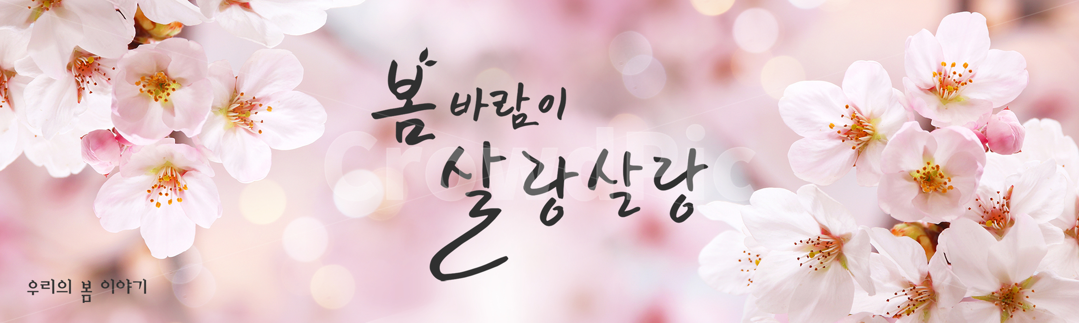 시즌,계절,봄,캘리그라피,캘리,손글씨,편집,배너,웹소스,소스,모바일,팝업,붓글씨,한글,꽃,배경,백그라운드,벚꽃,봄,계절,spring,season,캘리그라피,손글씨,calligraphy
