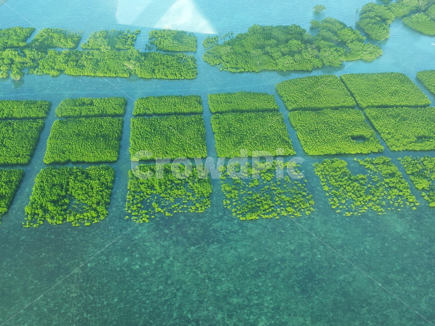 자연,nature,세부,세부바다,푸른바다,sea,바다풍경,하늘,sky,필리핀,세부하늘,에메랄드빛,네모,square,풍경,바다경치,연두색,색상,평온,세부경치,신비,바다숲
