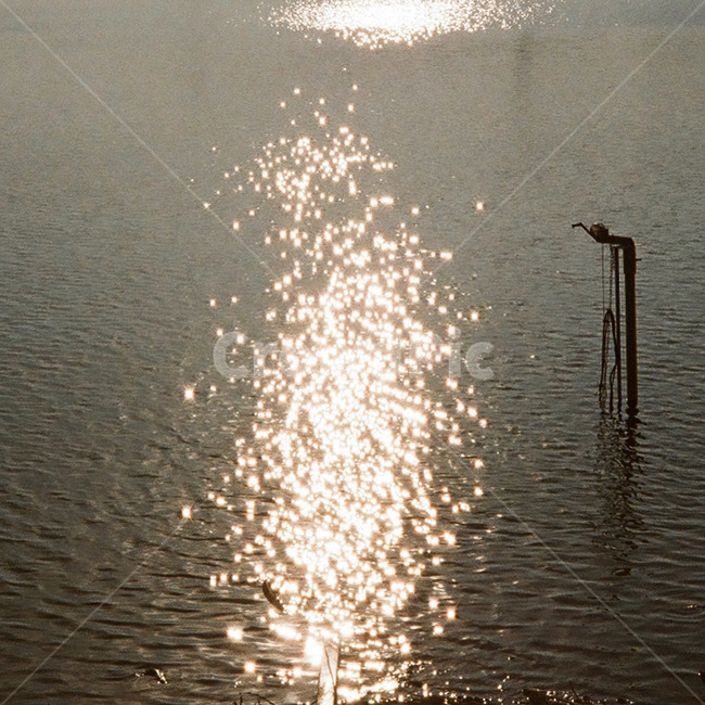 water,자연,물,바다,반짝이는,힐링