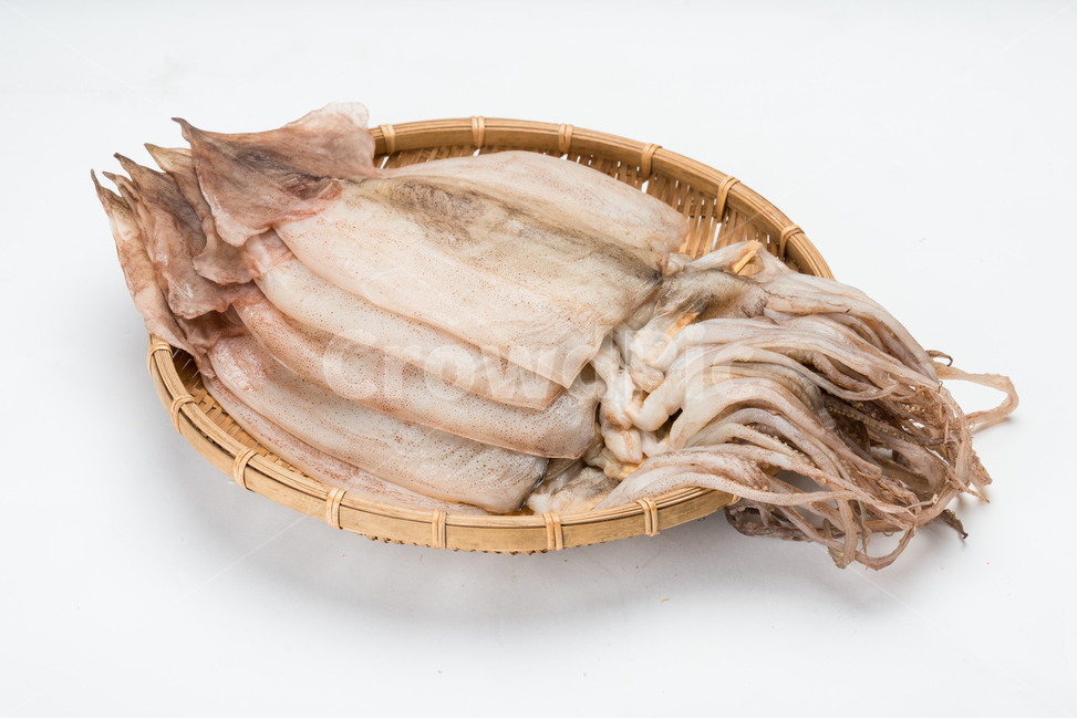 오징어,반건조오징어,반건조해산물,수산물,수산품,음식,식재료,요리,food,cook,meal,dishes,food reserves,수산물,해산물,fishery products,seafood,누끼,remove background