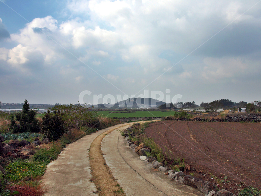 밭,올레12코스,올레길,제주,서귀포시,마늘밭,농작물,도로,자연,풍경,nature,landscape,제주도,jeju,jeju island,ground,바닥,gravel,자갈,road,dirt road,흙길