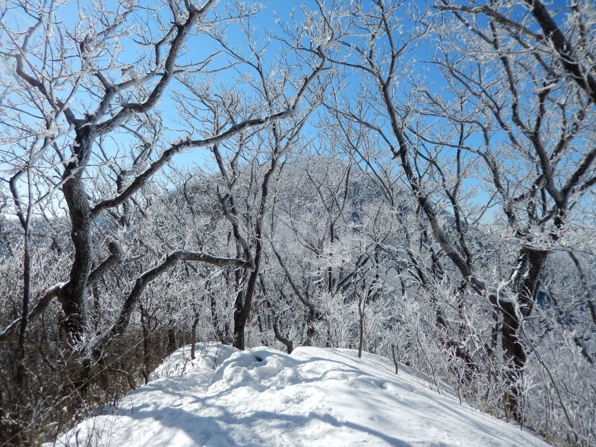민주지산,눈꽃풍경,상고대,겨울풍경,겨울동화,눈풍경,파란하늘,100대명산,겨울명산,설경,서리꽃,영동,자연,풍경,nature,landscape,겨울,계절,winter,season,outdoors,옥외
