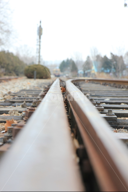 기차길,폐역,trainroute,흐림,풍경,스냅사진,기차,route,철로,감성,고요,한적함,철길,여행,교통,교통수단,traffic,transportation,railway,철도,train track,기찻길,rail,레일