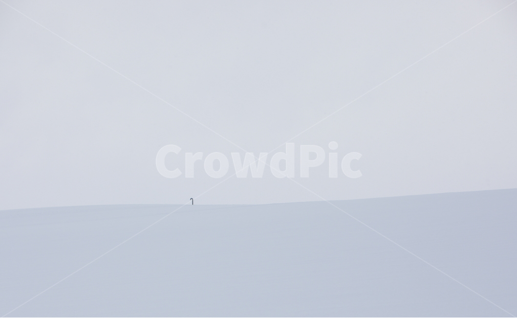 설경,눈,비에이,북해도,겨울풍경,snow,겨울,계절,winter,season,자연,풍경,nature,landscape,outdoors,옥외