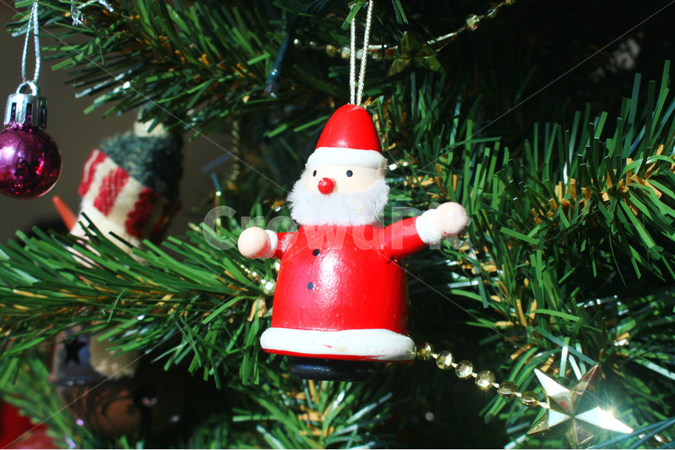크리스마스,크리스마스트리,크리스마스장식,성탄절,감성사진,christmas,메리크리스마스,체크,빨강,빨간색,초록,초록색,tree,red,green,산타,산타클로스