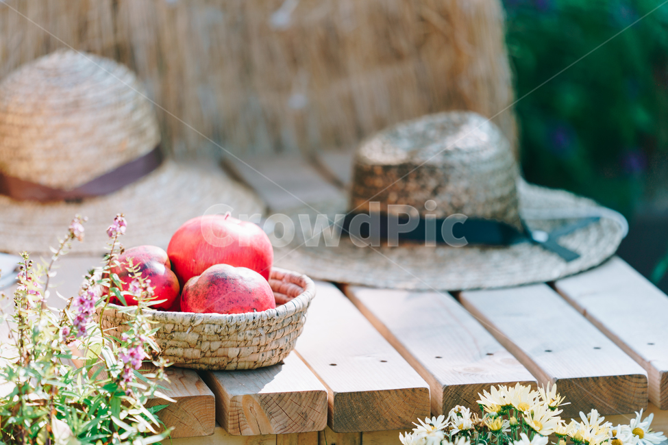 apple,사과,모자,소품,장식,의자,음식,식재료,요리,food,cook,meal,dishes,food reserves,과일,열매,fruit