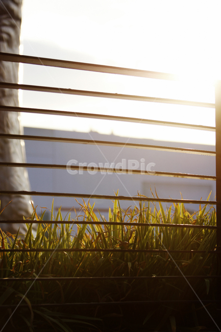 창그늘,windowshade,homedecor,curtain,햇빛