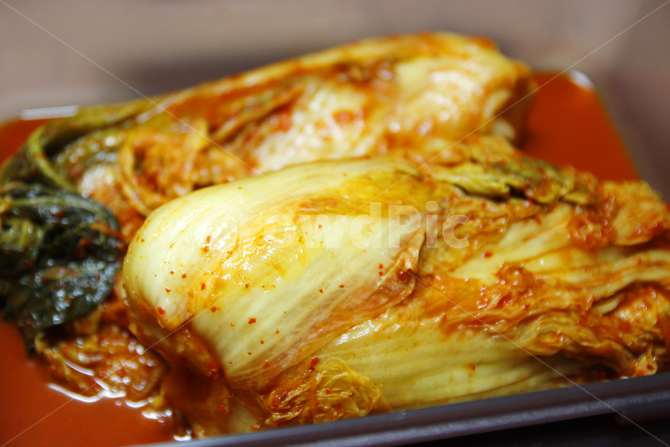 김치,김장김치,묵은지,kimchi,koreankimchi,김치요리