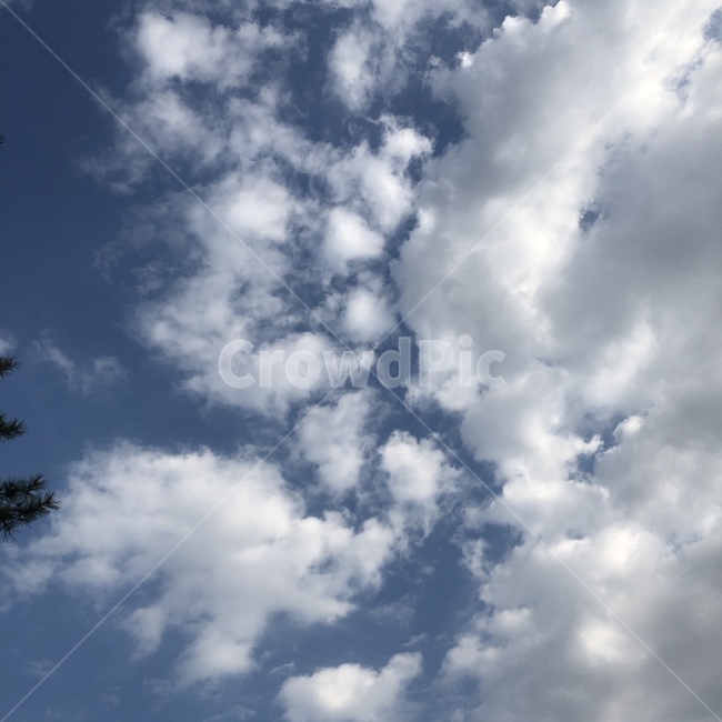 하늘,구름,파랑,푸른하늘,맑은하늘,미세먼지,푸름,낮,cloud,sky