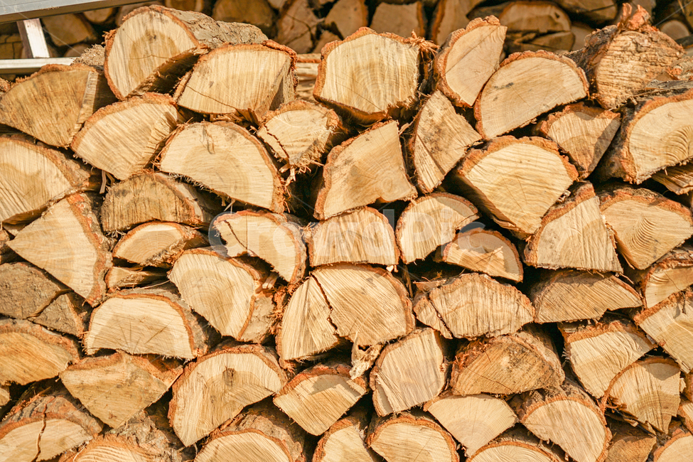 장작,나무,쌓다,장작패,나이테,나무,trees,wood