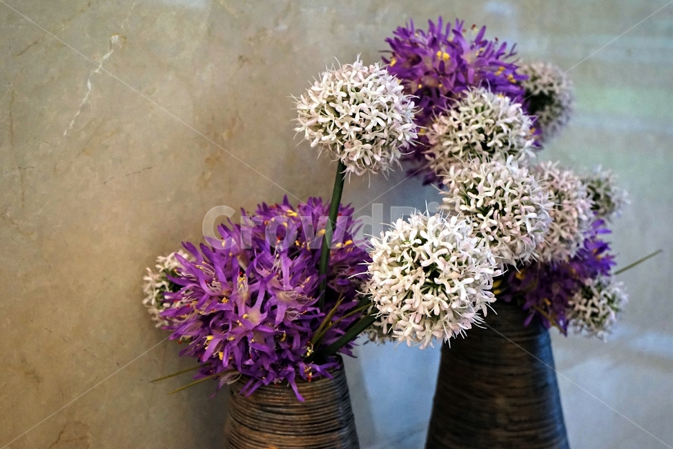 꽃,화병,장식,인테리어,결혼식장,행복,화분,flower,interior,감성사진,beautiful,plant,실내용화초,화분,화초,house plant