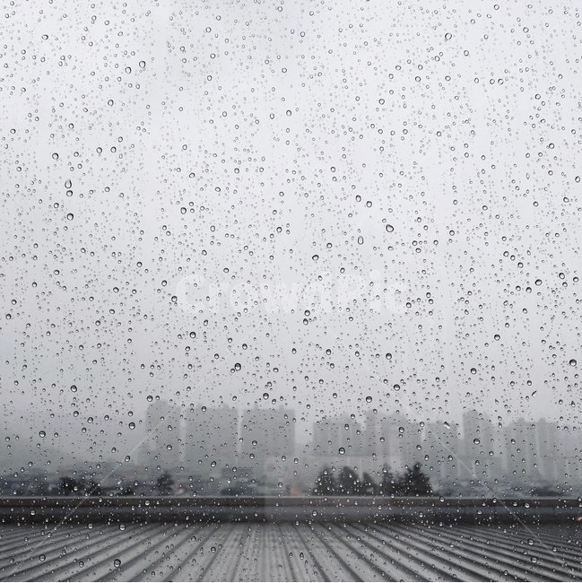 비,장마,흐림,빗방울,물방울,rain,raining,rainyday,greysky,raindrops,비,비오는날,rain,rainy