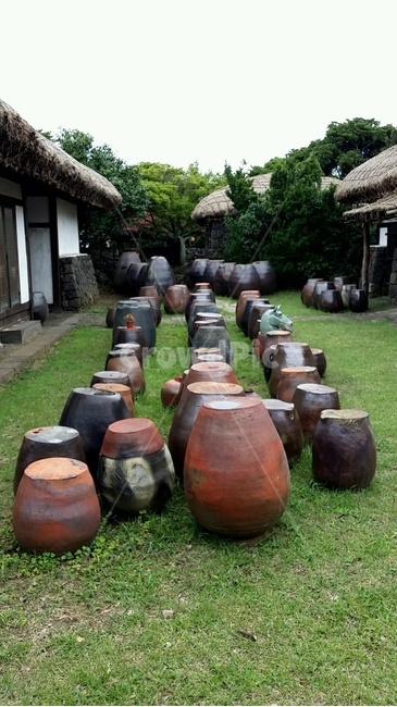 한옥,항아리,장,한국,전통,한국문화,시골,마을,풍경,landscape,country,rural,town,한국전통,한국문화,korean traditional,korean culture