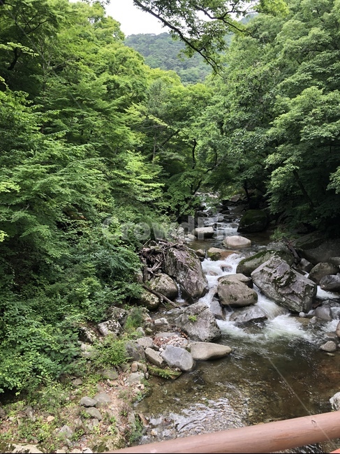 물,자연,계곡,여름,산,상주계곡