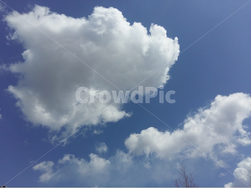 뭉게구름,봄,파랑하늘,햇빛,바람,낮,자연,풍경,nature,landscape,outdoors,옥외,sky,하늘