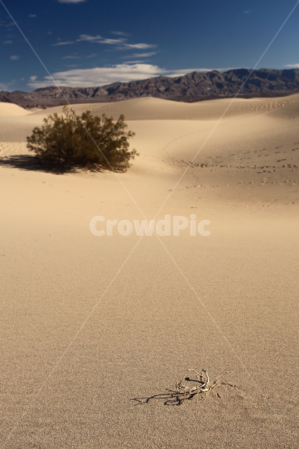 deathvalley,salt,데스밸리,미국,사막,자연,풍경,nature,landscape,soil,흙,sand,모래,outdoors,옥외,dune,모래 언덕