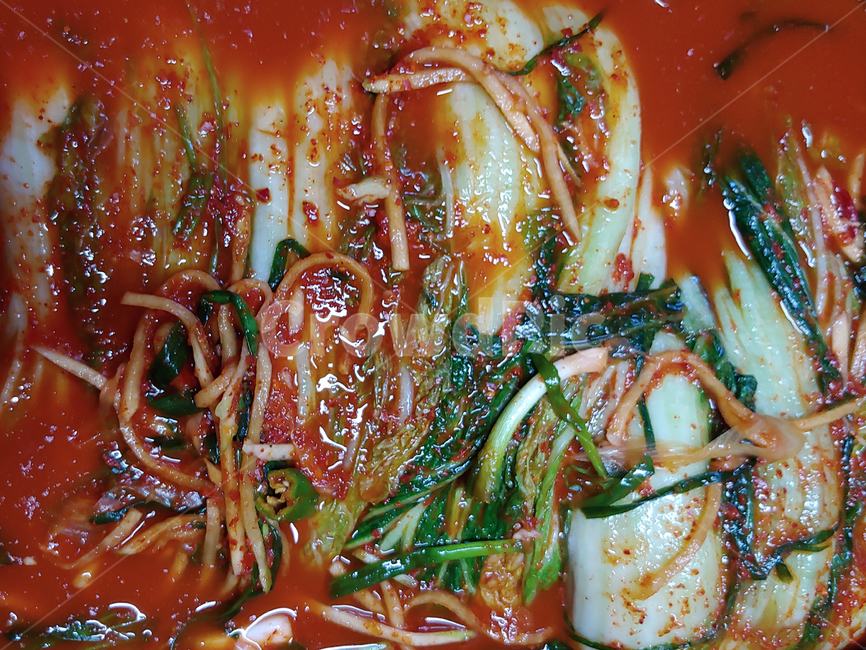 김장,김치,배추,배추김치,열무,열무김치,반찬,매운,찬,한국음식,전통음식,음식,식재료,요리,food,cook,meal,dishes,food reserves,한식,한국음식,한국요리,korean food,korean dishes,korean meal,korean cook