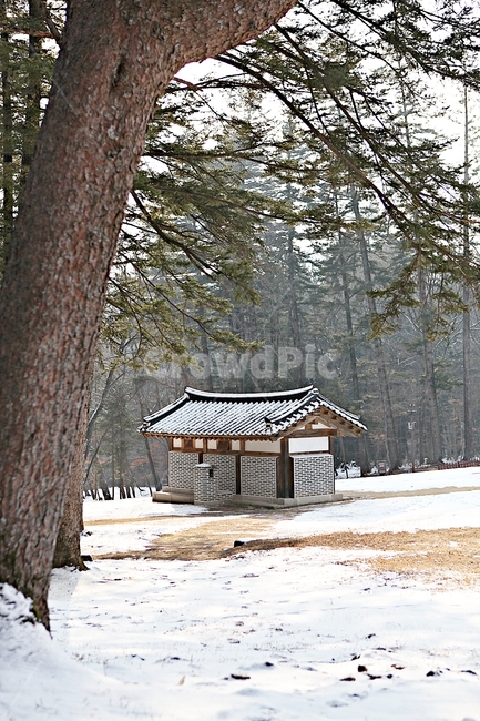 한옥,나무,자연,배경,겨울,풍경,겨울,계절,winter,season,한국전통,한국문화,korean traditional,korean culture,건축물,건물외관,exterior,building,structure,architecture,construction