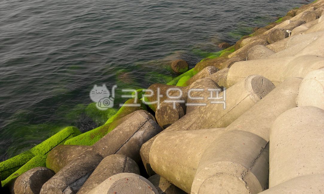 방파제,바다,해양시설,바다이끼,파도,테트라포드,tetrapod,콘크리트