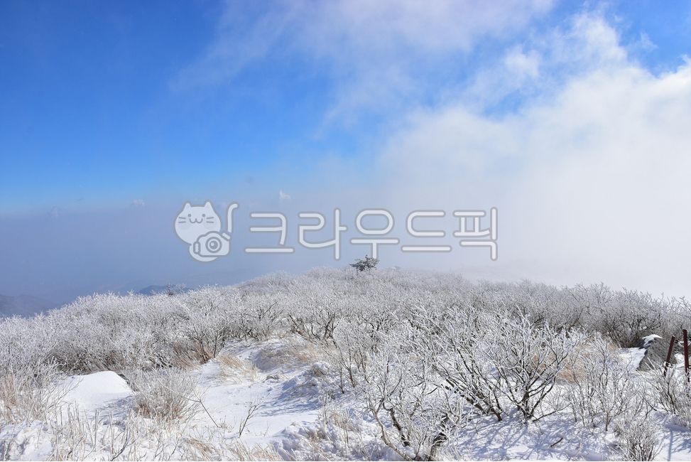 nationanlpark,seasonal,snow flower,winter,unexplored scenery,Sanggodae,scenery,frost flower,snow country,mountain climbing,national park,healing,mountain,mysterious,frost,weather,season,Korean natural scenery,Korean landscape,nature,wonderful,Seoraksan Mo