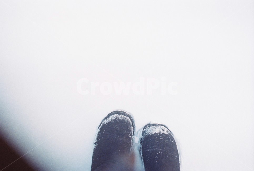 first snow,snow,glance,first footsteps,black and white