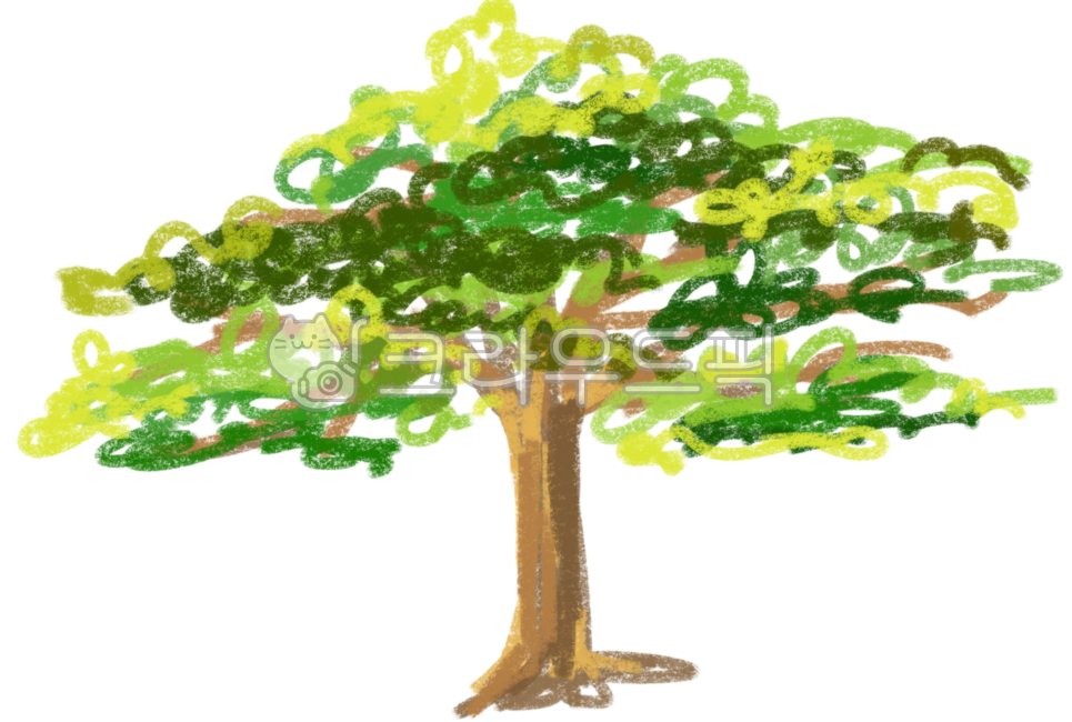 tree,cedar,cedar tree,cedar of Lebanon,green,nature,plant,green
