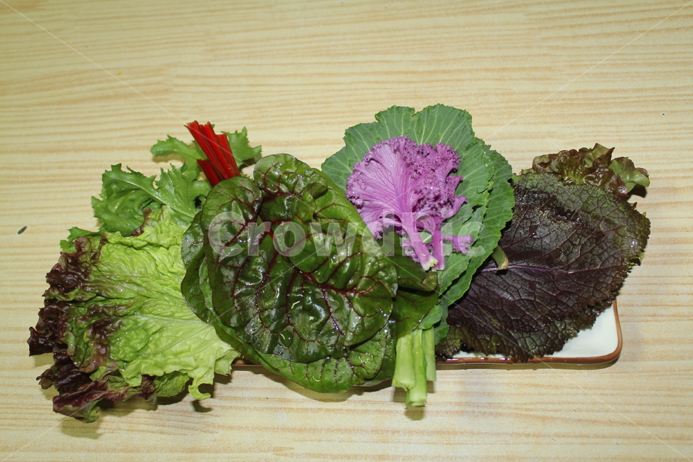 야채,채소,쌈,음식,식사,상추,쌈채소,음식,식재료,요리,food,cook,meal,dishes,food reserves,채소,야채,vegetables