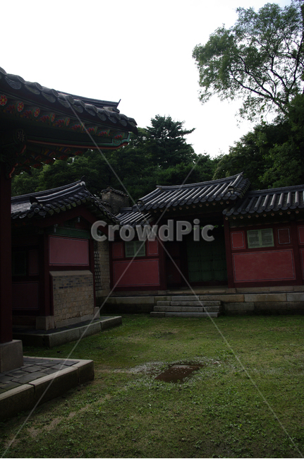 창덕궁,고궁,전각,한옥,전통가옥,기와지붕,건축,traditional,한국전통,한국문화,korean traditional,korean culture,건축물,건물외관,exterior,building,structure,architecture,construction