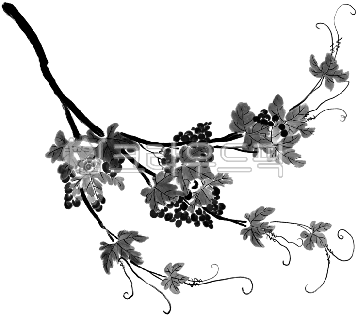 포도도,포도,포도그림,수묵화,동양화,전통회화,전통그림,묵포도도