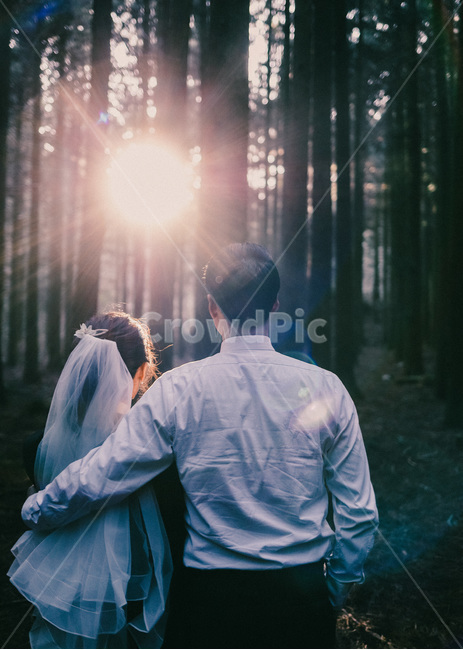 숲,사려니숲길,뒷모습,역광,햇빛,부부,커플,연인,결혼,베일,forest,back,sunlight,couple,marriage,wedding,사람,인물,인간,human,person,연인,커플,사랑,lover,couple,결혼,혼례,웨딩,wedding,marriage,marry,감성,sensible,feeling
